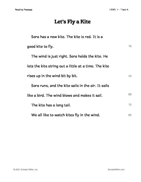 Grade 1 - Track A: Let's Fly a Kite (Instructor)