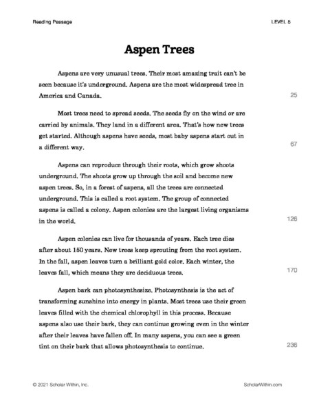 Grade 5: Aspen Trees (Instructor)